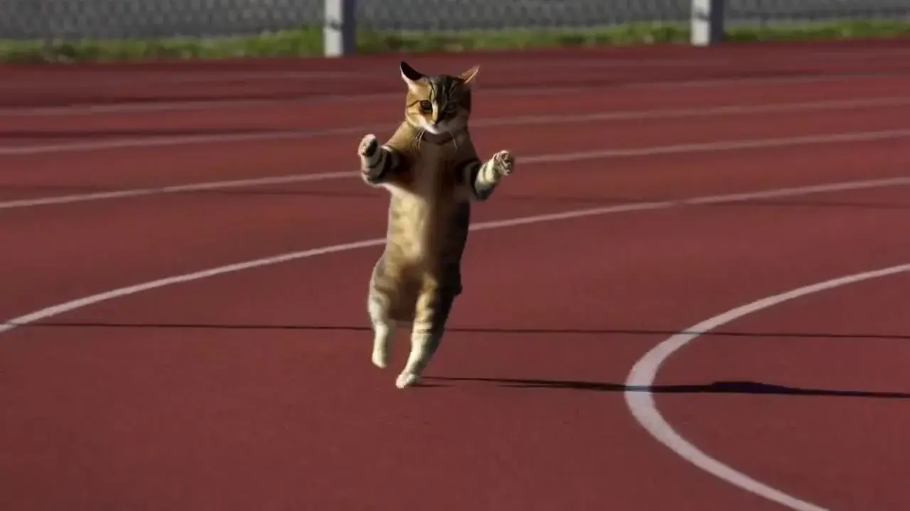 Hailuo 02 sprint recipe illustration: a tabby cat running upright on its hind legs down a red stadium track